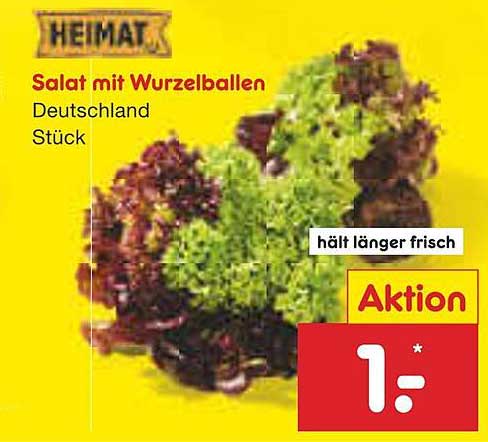 Salat mit Wurzelballen Deutschland Stück
