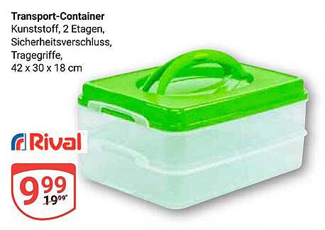 Transport-Container Kunststoff, 2 Etagen, Sicherheitsverschluss, Tragegriffe, 42 x 30 x 18 cm