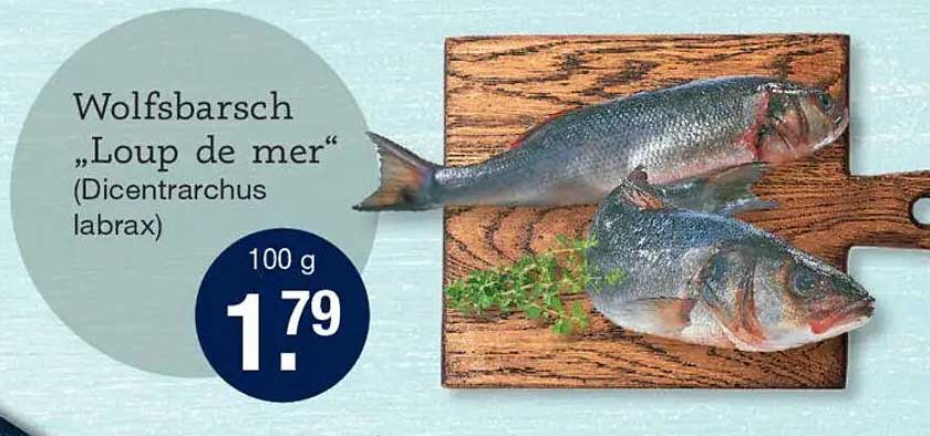 Wolfsbarsch „Loup de mer“ (Dicentrarchus labrax)