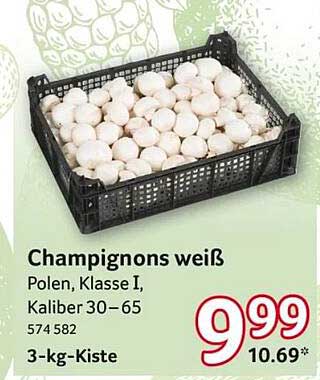 Champignons weiß - 3-kg-Kiste aus Polen, Klasse I, Kaliber 30–65