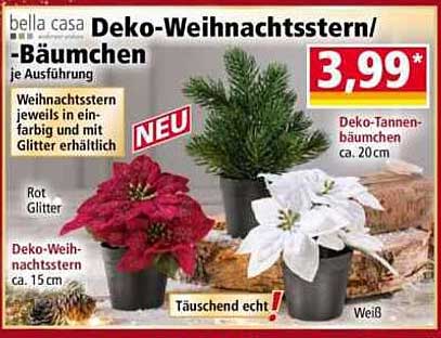 Deko-Weihnachtsstern/-bäumchen