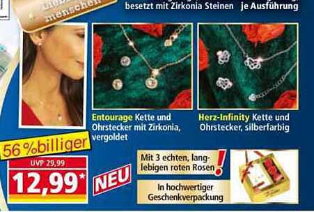 Entourage Kette und Ohrstecker mit Zirkonia, vergoldet – Herz-Infinity Kette und Ohrstecker, silberfarbig