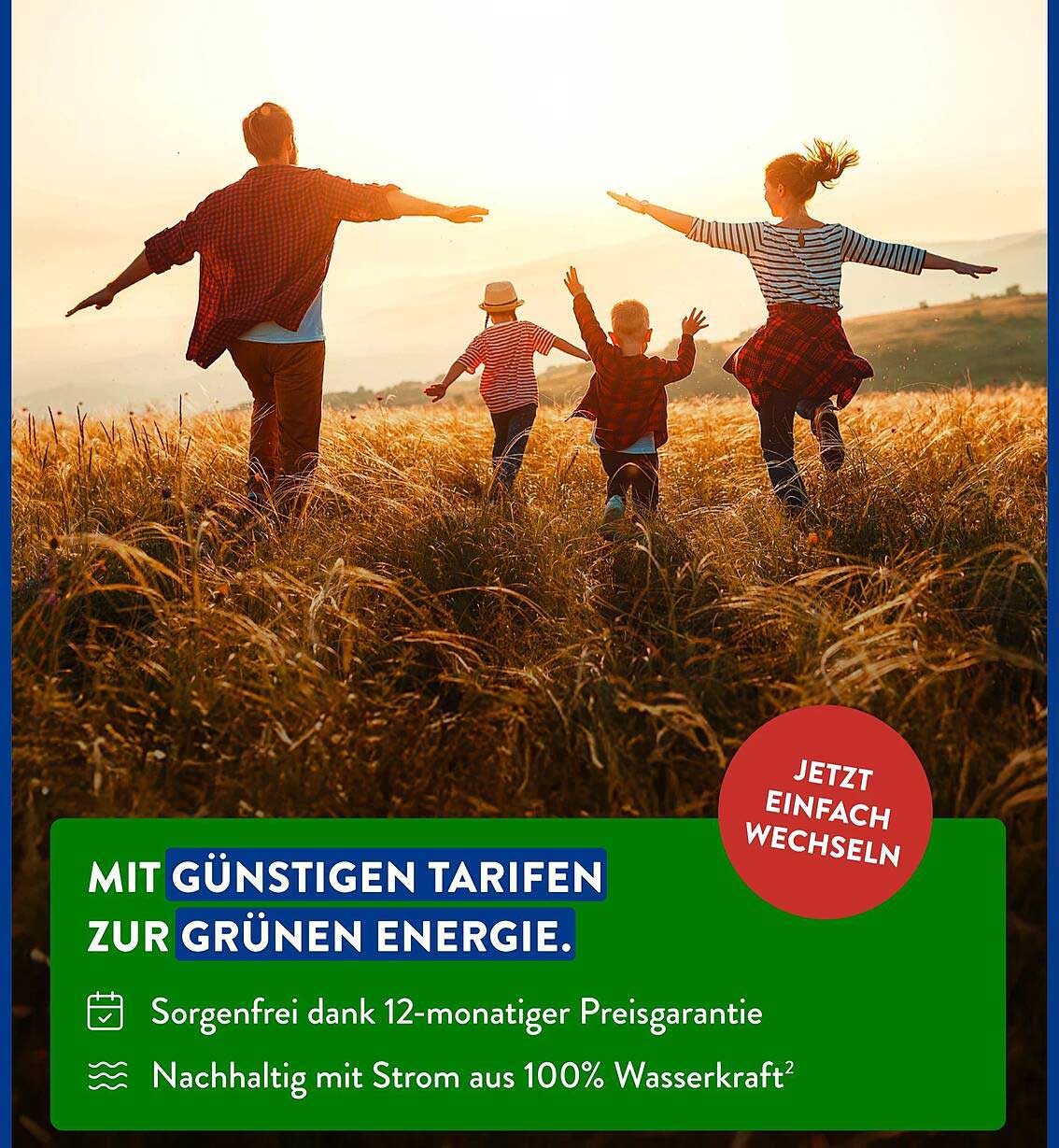 Günstige Tarife zur grünen Energie