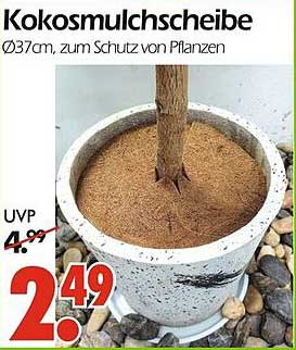 Kokosmulchschnitte Ø37cm, zum Schutz von Pflanzen