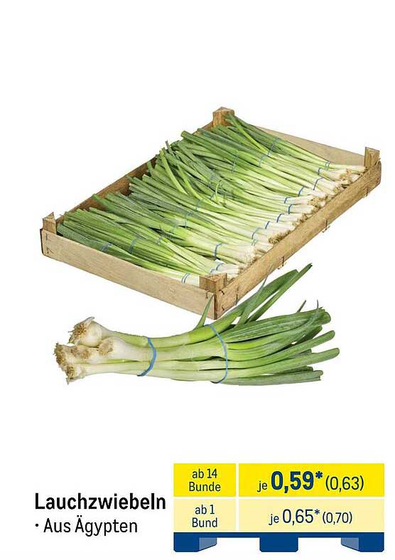 Lauchzwiebeln aus Ägypten