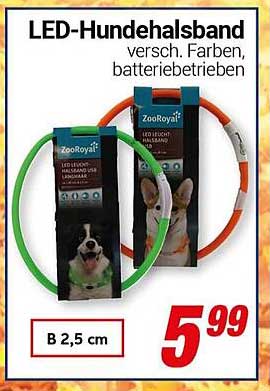 LED-Hundehalssband - verschiedene Farben, batteriebetrieben