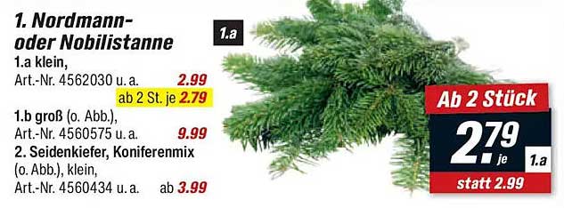 Nordmann- oder Nobilistanne – ab 2 Stück je 2,79 €