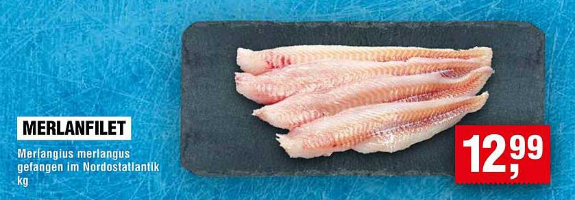 MERLANFILET - Merlangius merlangus gefangen im Nordostatlantik