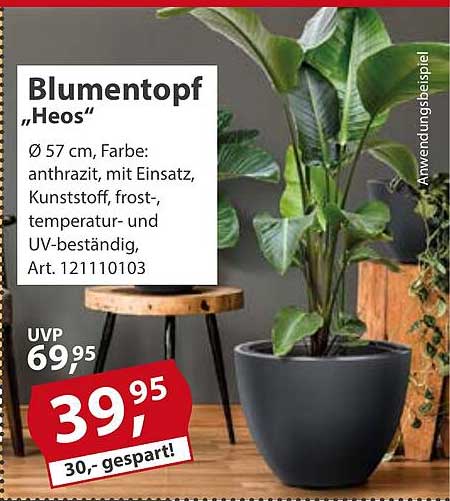 Blumentopf "Heos"