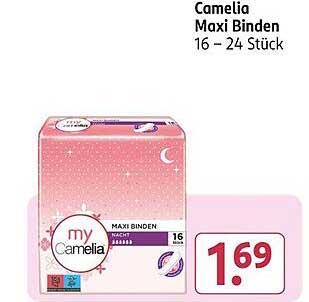 Camellia Maxi Binden 16 – 24 Stück