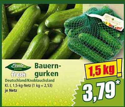 Ernte frische Bauern-Gurken 1,5 kg