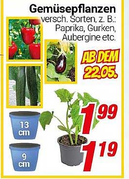 Gemüsepflanzen verschieden. Sorten: z. B. Paprika, Gurken, Aubergine etc.