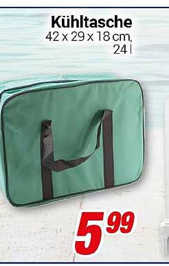 Kühltasche 42 x 29 x 18 cm, 24 l