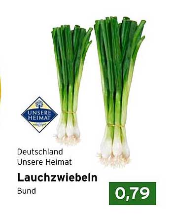 Lauchzwiebeln - Bund