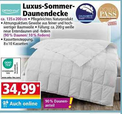 Luxus-Sommer-Daunendecke