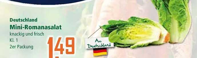 Mini-Romanasalat 2er Packung - knackig und frisch