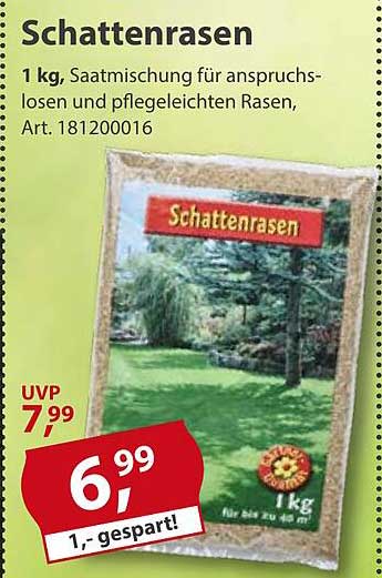 Schattenrasen 1 kg - Saatmischung für anspruchslose und pflegeleichte Rasen