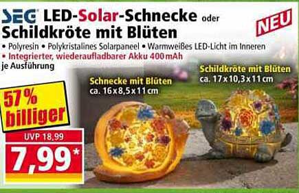 SEG LED-Solar-Schnecke oder Schildkröte mit Blüten