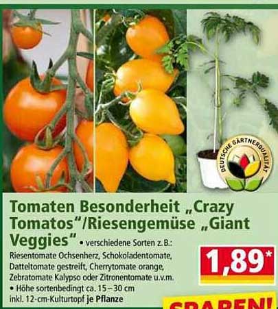 Tomaten Besonderheit „Crazy Tomatos“/Riesengemüse „Giant Veggies“
