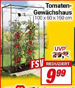 Tomaten-Gewächshaus 100 x 50 x 150 cm
