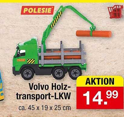 Volvo Holztransport-LKW