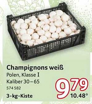 Champignons weiß – 3-kg-Kiste aus Polen, Klasse I