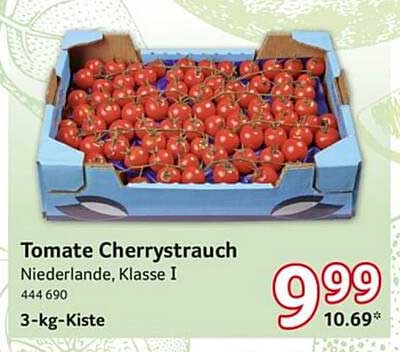 Tomate Cherrystrauch Niederlande, Klasse I - 3-kg-Kiste