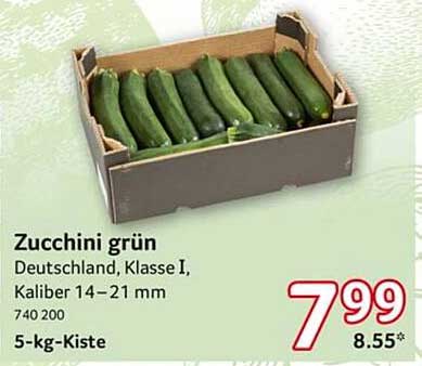 Zucchini grün - 5-kg-Kiste