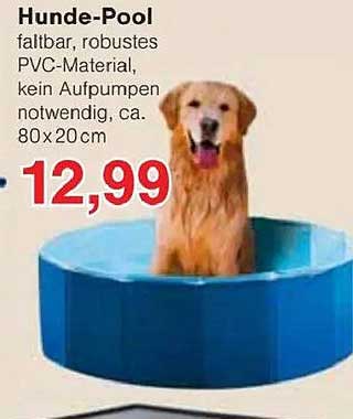 Hunde-Pool