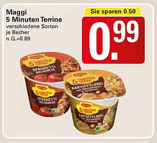 Maggi 5 Minuten Terrine verschiedene Sorten