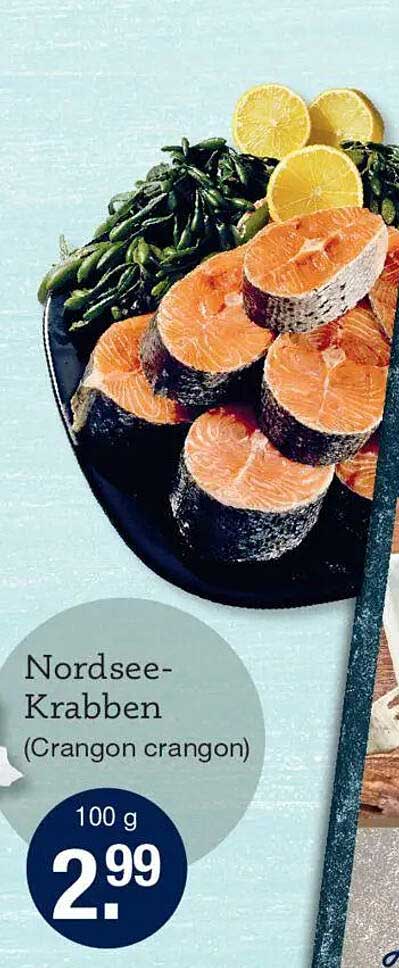 Nordsee-Krabben (Crangon crangon)