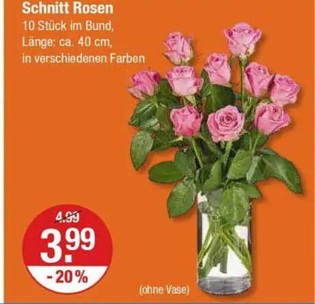 Schnittrosen – 10 Stück im Bund in verschiedenen Farben