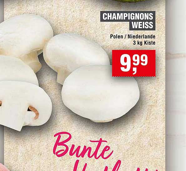 CHAMPIGNONS WEISS Polen / Niederlande 3 kg Kiste