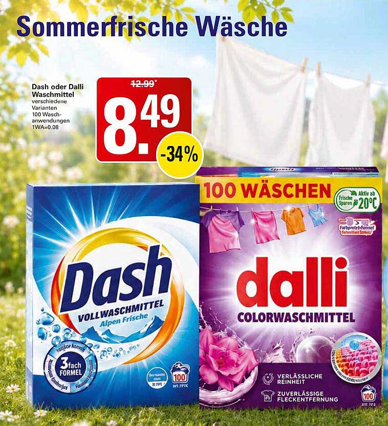 Dash oder Dalli Waschmittel verschiedene Varianten 100 Waschanwendungen 1WA=0.08