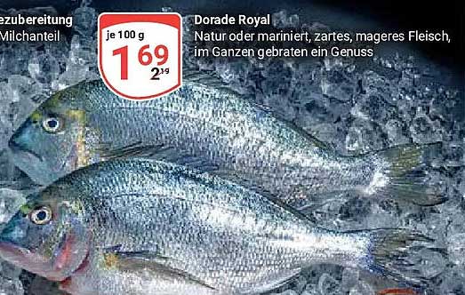 Dorade Royal