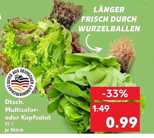 Dtsch. Multicolor- oder Kopfsalat Kl. I je Stück