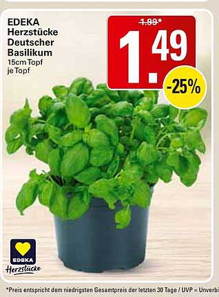 EDEKA Herztücke Deutscher Basilikum 15cm Topf je Topf