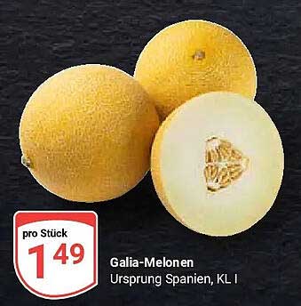 Galia-Melonen