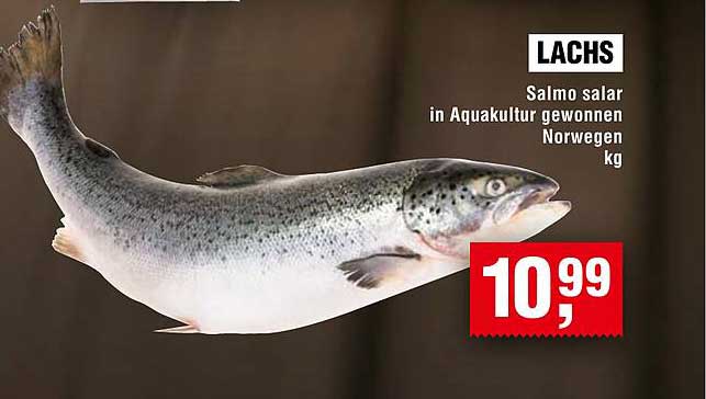 LACHS