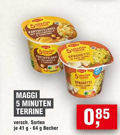 MAGGI 5 MINUTEN TERRINE