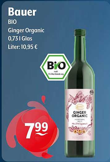 BIO Ginger Organic 0,73 l Glas