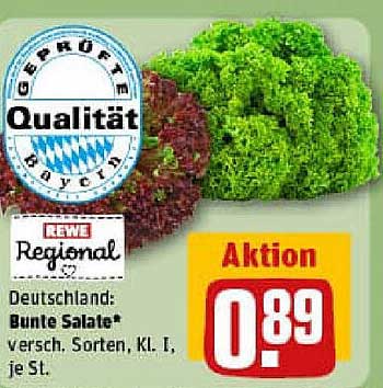 Bunte Salate - Frische Vielfalt zum Genießen