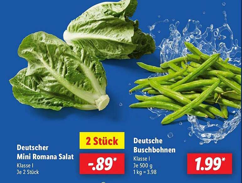 Deutscher Mini Romana Salat und Deutsche Buschbohnen