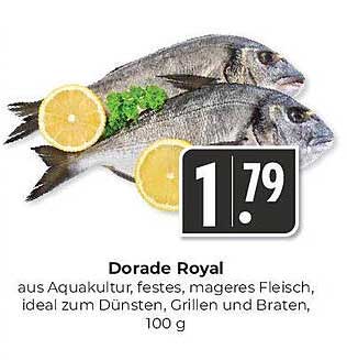 Dorada Royal - Frischer Genuss für Feinschmecker
