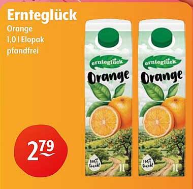 Ernteglück Orange 1,0 l Elopak pfandfrei
