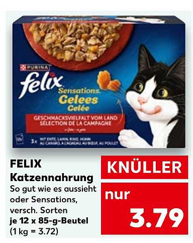 FELIX Katzennahrung - Sensations Gelees