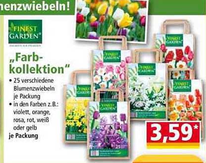 Finest Garden "Farbkollektion" - 25 verschiedene Blumenzwiebeln je Packung