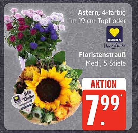 Floristenstrauß Medi, 5 Stiele oder Aster, 4-farbig im 19 cm Topf