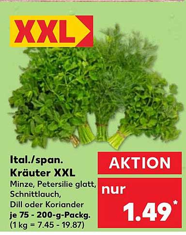 Ital./span. Kräuter XXL – Minze, Petersilie, Schnittlauch, Dill oder Koriander je 75 – 200-g-Pack.