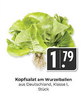 Kopfsalat am Wurzelballen aus Deutschland, Klasse I, Stück